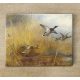 Tile mural - wildlife -fox in the reeds 