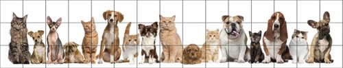 Ceramic tile mural - Cats and dogs I.