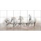 Fehér lovak -  mozaik csempe (120x60cm)
