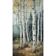 birch forest path with white trunks – ceramic tile mural
