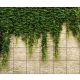 Ceramic tile mural with cascading ivy vines on a rustic brick wall