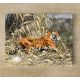 Tile mural - wildlife -tiger 