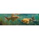 Tile mural - golden carps