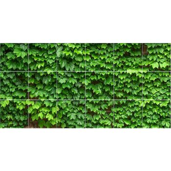 Levél mintás csempe - vadszőlő (91x45cm)