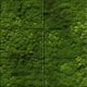 Moss tile mural
