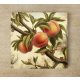 Peach - ceramic tile trivet