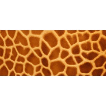 Zsiráf mintás bögre