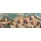 Seashell & Starfish Beach Tile Mural
