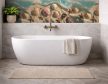 Seashell & Starfish Beach Tile Mural