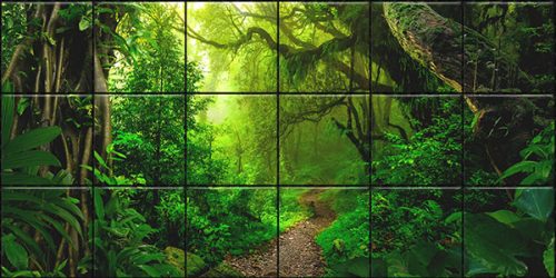 Tropical jungle with lush greenery and forest path – ceramic tile mural