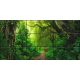Tropical jungle with lush greenery and forest path – ceramic tile mural