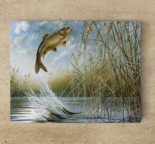 Tile mural - fishes -fishing 