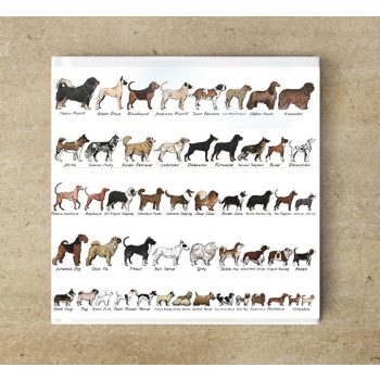 Ceramic tile trivet - farm - dog breeds 