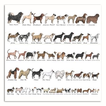 Ceramic tile trivet - farm - dog breeds 