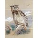 Ceramic tile mural - birds -Eagle owl II. 