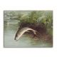 Tile mural - fishes -fishing II. 