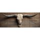 Tile mural with longhorn skull and wooden background