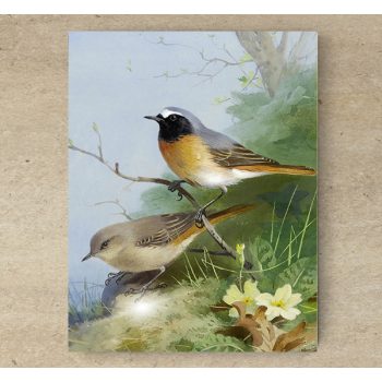 Ceramic tile trivet - birds -rusty tail 