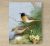 Ceramic tile trivet - birds -rusty tail 