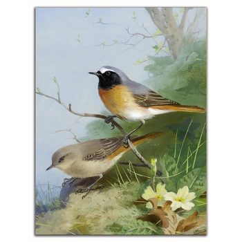 Rozdafarkú madár mintás dekorcsempe