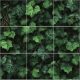 Ceramic tile mural - Ivy on stone wall