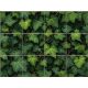 Tile mural covered in ivy leaves with dense green botanical pattern
