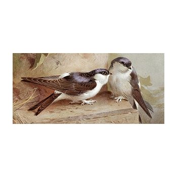 Swallow mug