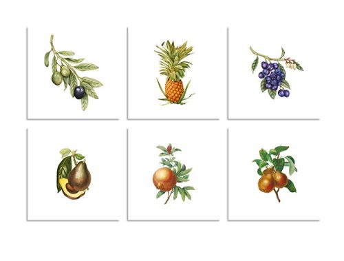 Ceramic tile mural - fruits 