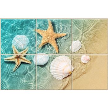 Seashells and starfish on sandy beach in shallow water – summer tile mural Seashells and starfish on sandy beach in shallow water – summer tile mural