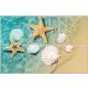 Seashells and starfish on sandy beach in shallow water – summer tile mural