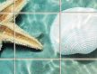 Seashells and starfish on sandy beach in shallow water – summer tile mural