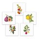 Ceramic tile mural - vegetables and fruits 