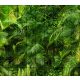 Dense green jungle with palm leaves and ferns – tropical tile mural