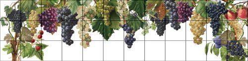 Gyümölcsök és szőlő - konyha csempe (180x45cm)