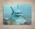 Cutting board - shark