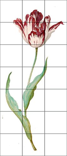 Ceramic tile mural - Tulip  