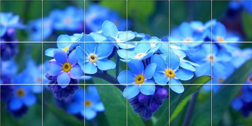 Ceramic tile mural - forget-me-not 