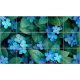 Ceramic tile with Forget-me-not pattern