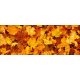 Levél mintás csempe - őszi falevelek (160x60cm)