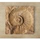 Ammonitesz - dekorcsempe
