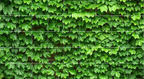 Levél mintás csempe - vadszőlő (180x100cm)