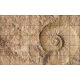 Ceramic tile mural - ammonites fossil