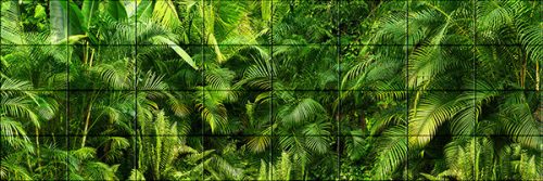 Dense green jungle with palm leaves and ferns – tropical tile mural