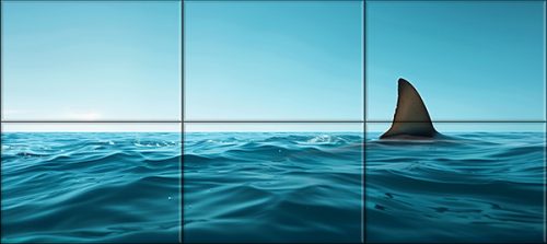 Tile mural - water world - Great White shark