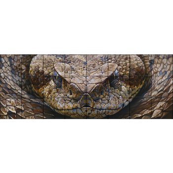 Ceramic tile mural - dolphin  Ceramic tile mural - dolphin