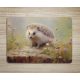 Cutting board - hedgehog