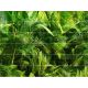 Dense green jungle with palm leaves and ferns – tropical tile mural