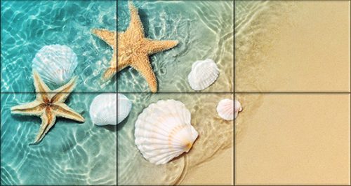 Seashells and starfish on sandy beach in shallow water – summer tile mural