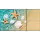Seashells and starfish on sandy beach in shallow water – summer tile mural