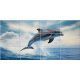 Tile mural - water world - curious dolphins 